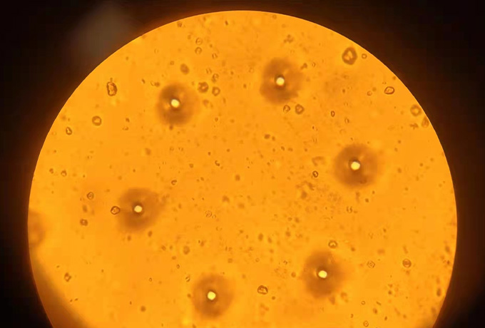 Durability meets intelligent control